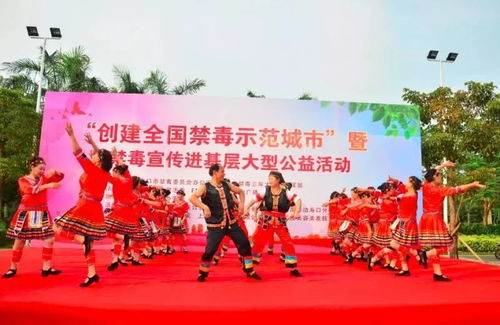 數字賦能禁毒宣傳 創意軟件開發助力新埠街道爭創全國禁毒示范城市